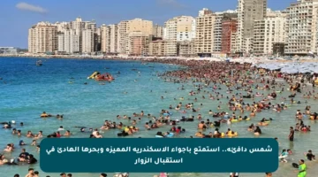 شمس دافئة.. استمتع بأجواء الإسكندرية المميزة وبحرها الهادئ في استقبال الزوار